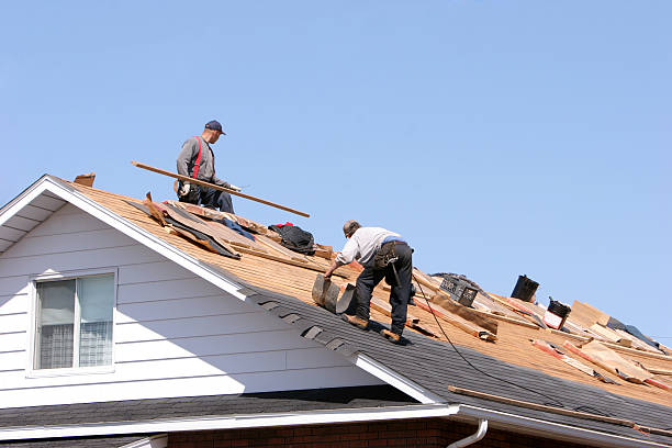 Siding in Midway South, TX